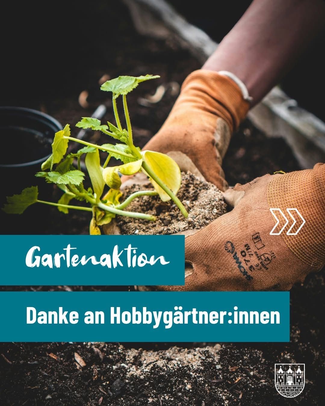 A person wearing gloves plants a small green plant into the soil. The image has a blue border with the text 'Gardening Action' and 'Thanks to Hobby Gardeners'.
