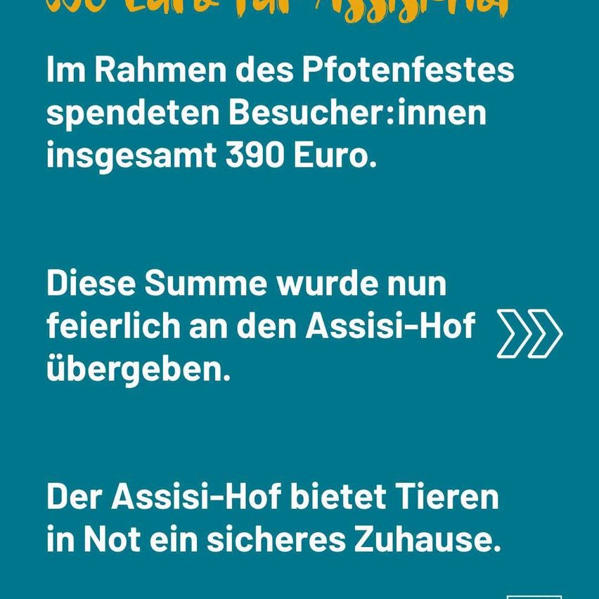Ein Plakat mit blauem Hintergrund zeigt Informationen über den Assisi-Hof und gibt an, dass Besucher während des Pfingstfestes insgesamt 390 Euro ausgegeben haben. Dieser Betrag wurde dem Assisi-Hof gespendet. Der Assisi-Hof bietet Tieren in Not ein sicheres Zuhause.
