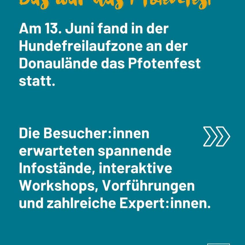 Am 13. Juni findet im Hundefreilaufbereich an der Donaulände das Pfotenfest statt. Die Besucher:innen erwartet spannende Infostände, interaktive Workshops, Vorführungen und zahlreiche Expert:innen.