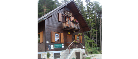 Ein Holzhaus mit mehreren Fenstern und einem Balkon, geschmückt mit Blumen, in einem Waldgebiet gelegen.