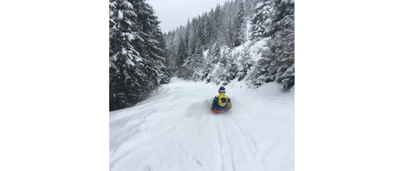 Eine Person rodelt einen verschneiten Pfad in einem Wald mit Kiefern. Der Schnee ist dick und bedeckt den Boden und die Bäume.