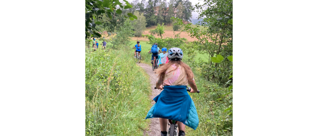 Eine Gruppe von Kindern fährt auf einem Pfad im Wald mit Fahrrädern. Sie tragen Helme und Rucksäcke. Bäume und Büsche säumen den Pfad.