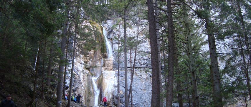 Bild enthält, Nature, Outdoors, Water, Tree, Person, Wilderness, Vegetation, Creek, Waterfall, Fir