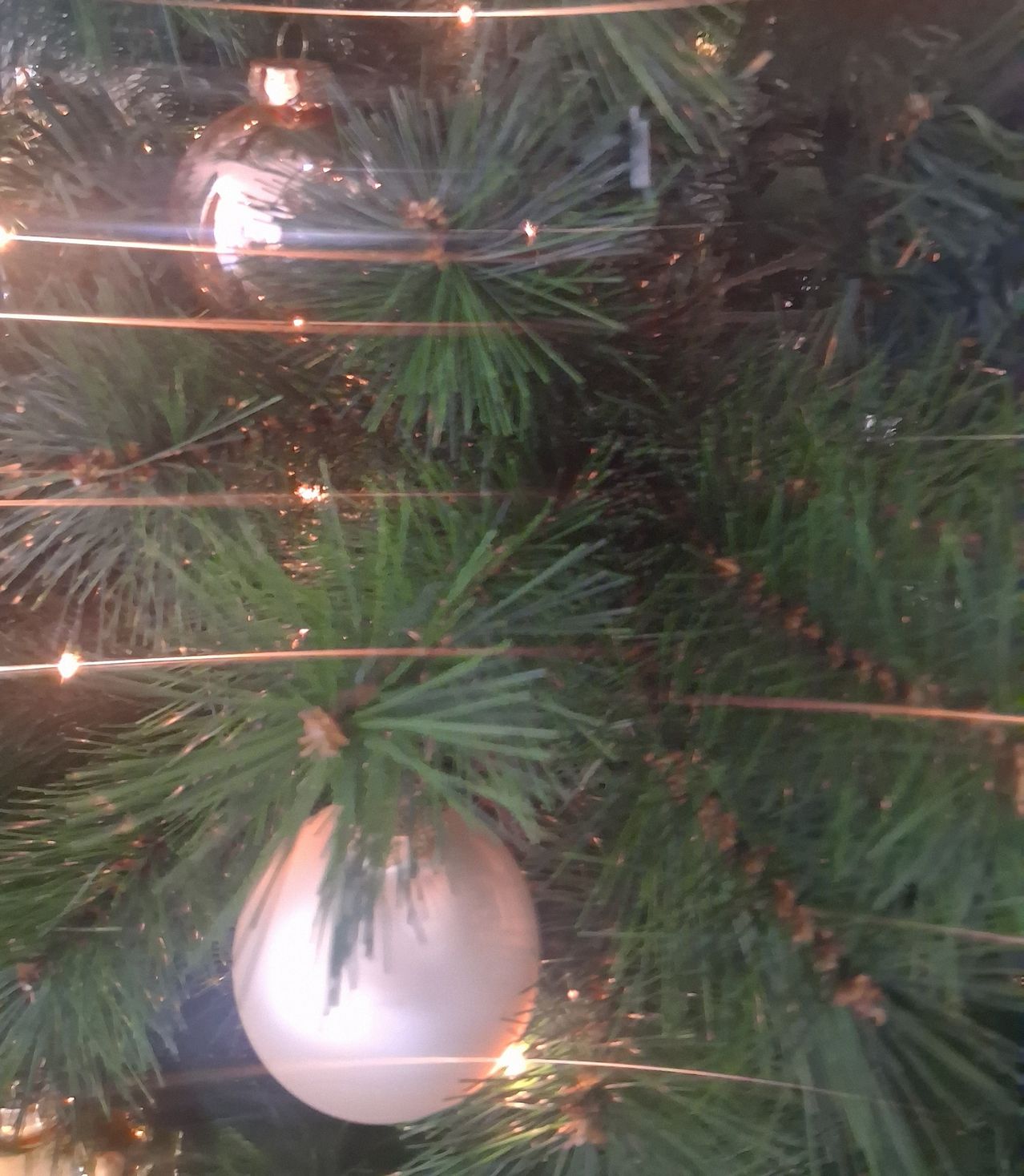 Eine Nahaufnahme eines geschmückten Weihnachtsbaums mit glänzenden Kugeln und Lichtern, die Zweige sind üppig und grün.