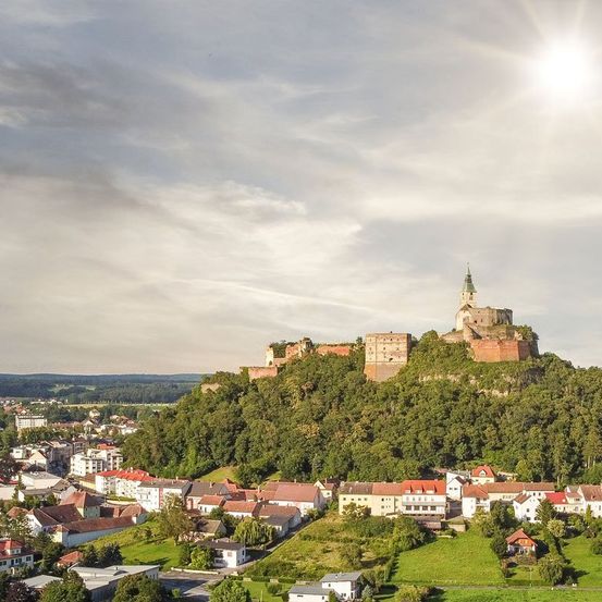 Luftaufnahme einer Stadt mit einer Burg auf einem Hügel, umgeben von Bäumen, unter einem hellen Himmel.