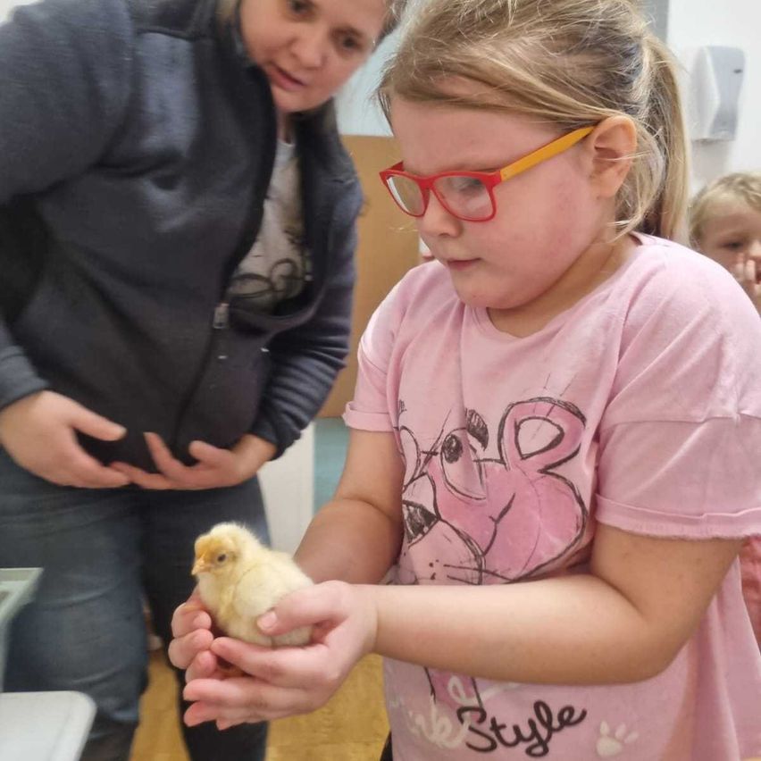 Bild enthält, Child, Female, Girl, Person, Face, Portrait, Glasses, Animal, Bird, Poultry