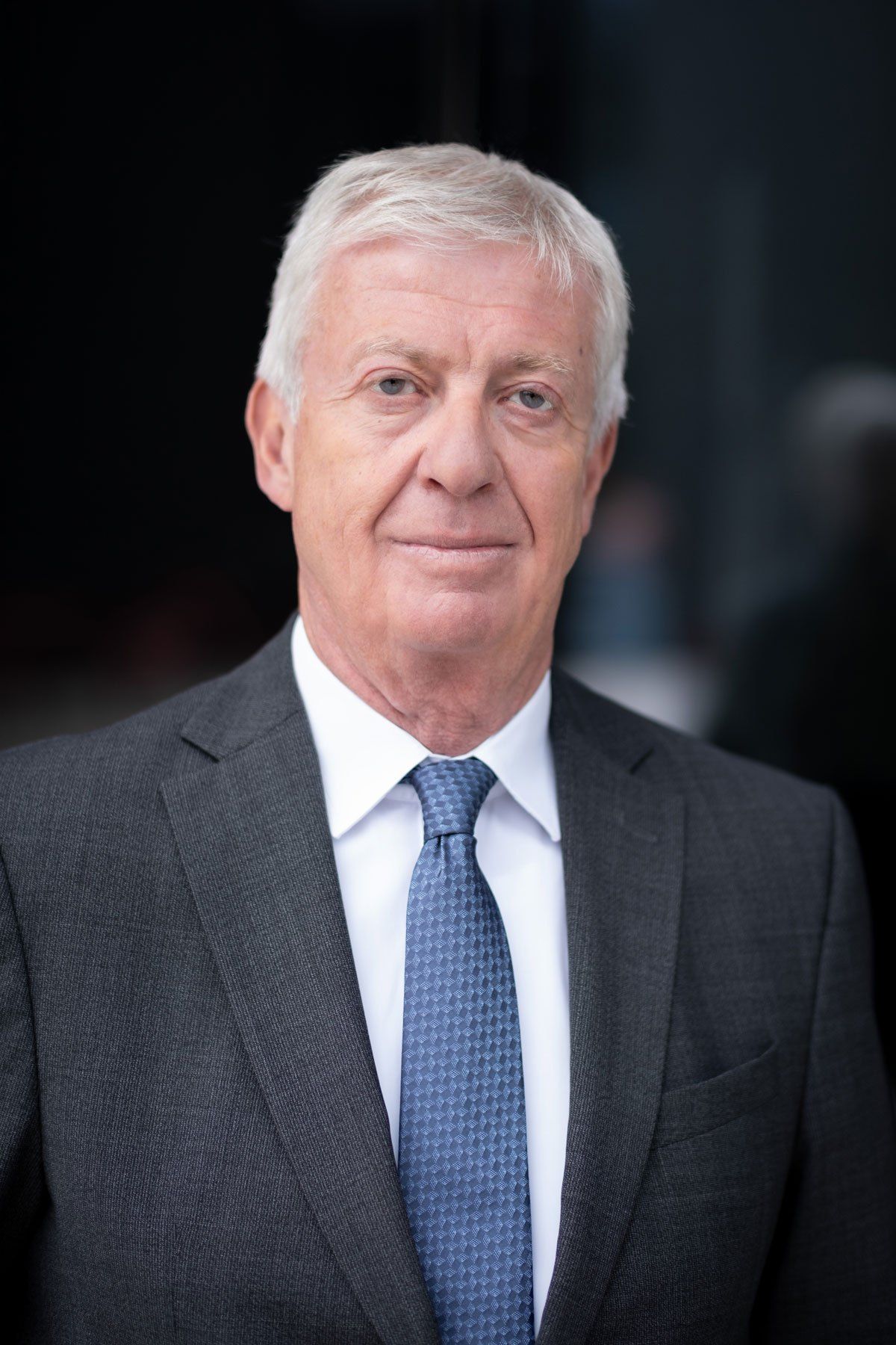 Bild enthält, Accessories, Formal Wear, Tie, Person, Portrait, Necktie, Suit, Coat, Adult, Man