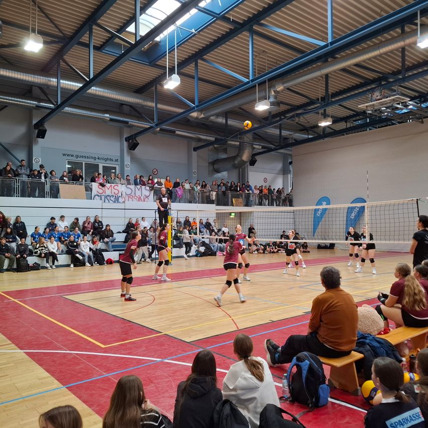 Bild enthält, Sport, Volleyball, Volleyball Game, Adult, Female, Person, Woman, Male, Man, Head