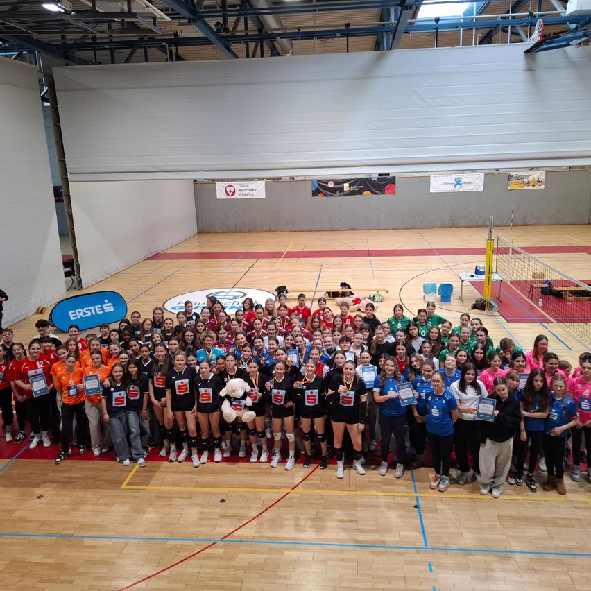 Bild enthält, People, Person, Sport, Volleyball, Volleyball Game, Basketball, Basketball Game