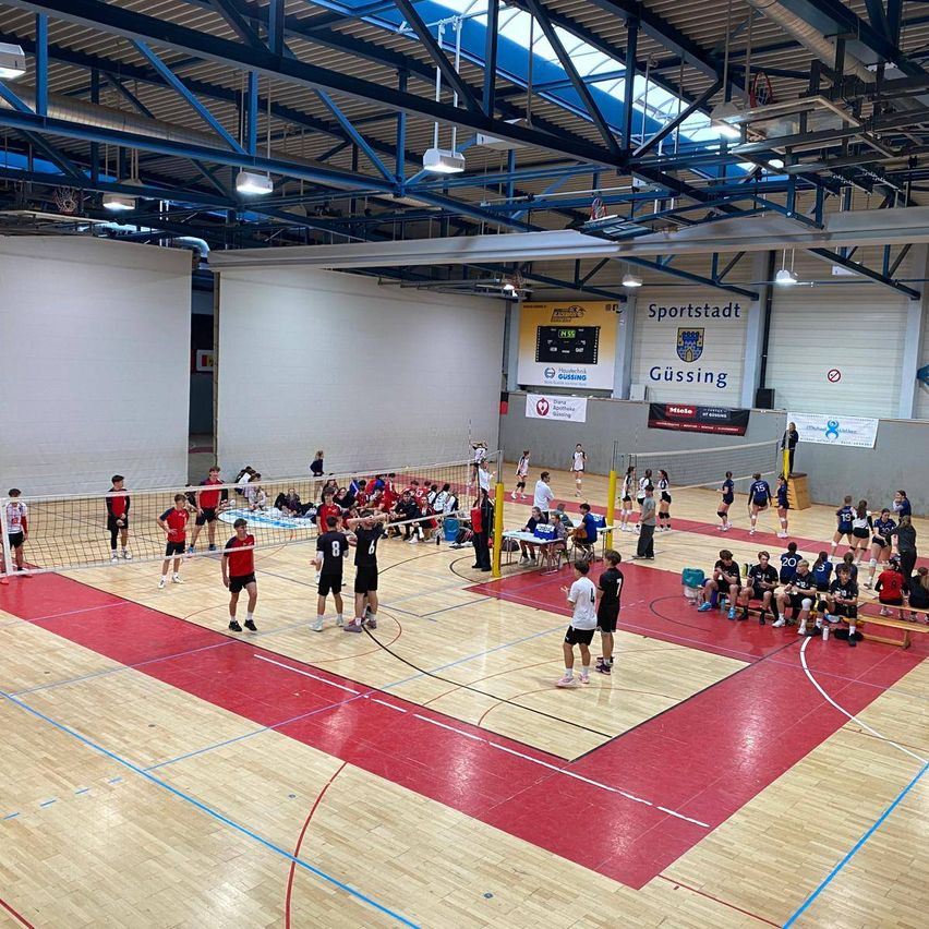 Bild enthält, Sport, Volleyball, Volleyball Game, Person, Basketball, Basketball Game