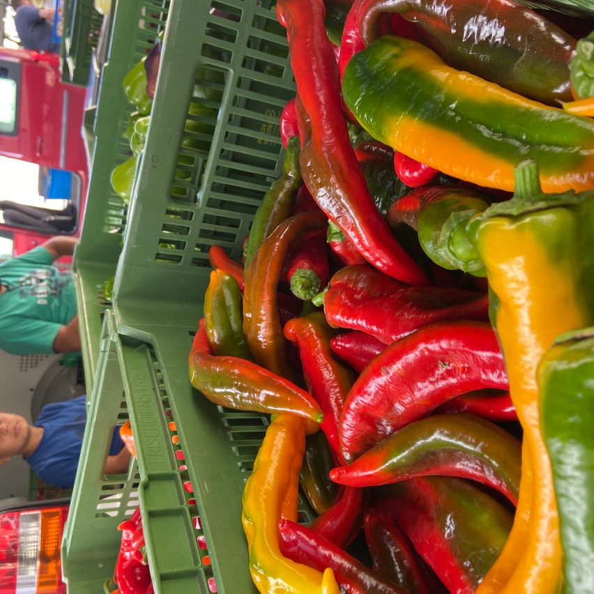 Ein Haufen roter und gelber Paprikaschoten in grünen Kisten auf einem Markt.