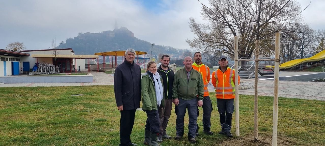 A group of people dressed in winter clothes are standing on a grassy field with a foggy mountain in the background. There are street lights and a gazebo in the distance.