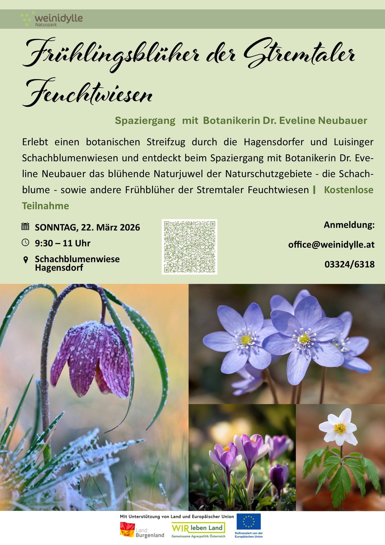 Plakat für einen botanischen Spaziergang am 22. März 2026 mit Blumen und Pflanzen mit grünen Blättern. Kontaktinformationen und ein QR-Code für die Anmeldung sind vorhanden.