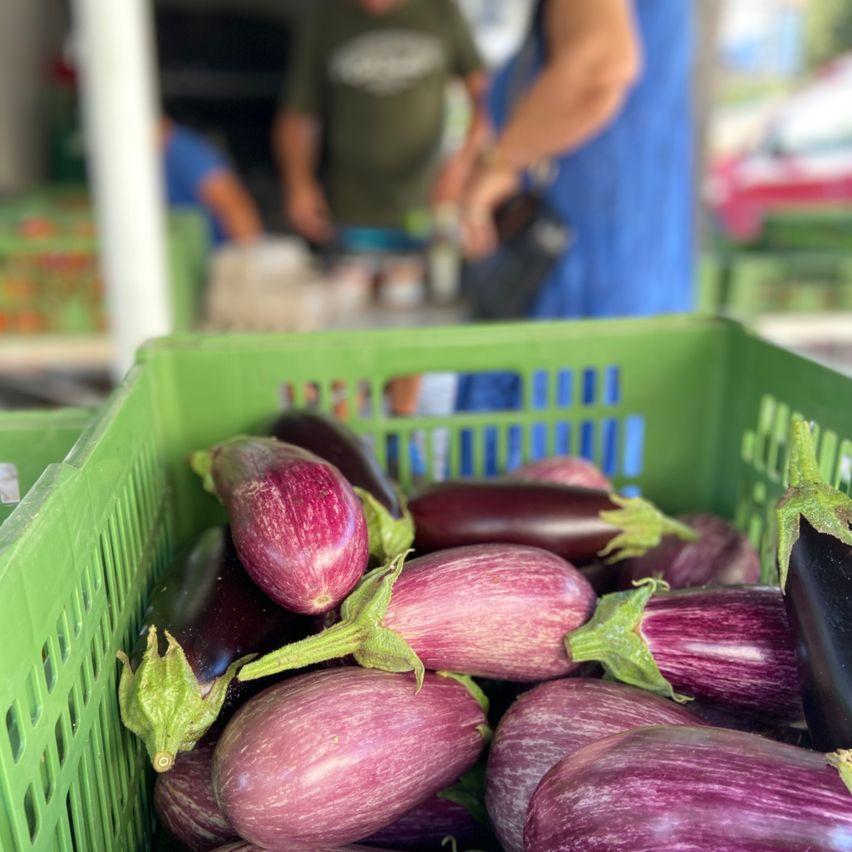 Ein grüner Korb voller lila Auberginen, mit Menschen im Hintergrund, die auf einem Markt einkaufen.