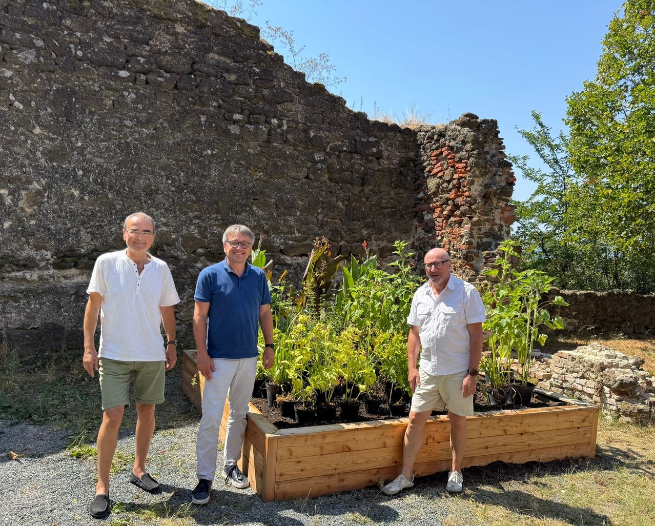 Drei Männer stehen neben einem hölzernen Pflanzgefäß mit verschiedenen Pflanzen, mit einer Steinmauer im Hintergrund.