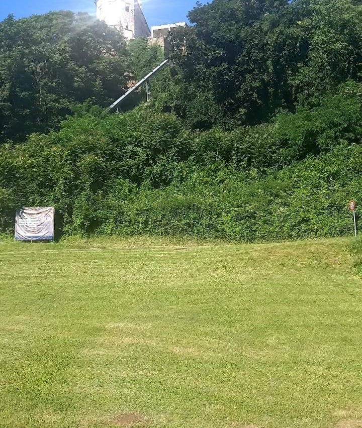 Ein Grasfeld mit einem abgedeckten Objekt im Vordergrund und einem großen Busch, der mit Grün bedeckt ist. Im Hintergrund ist eine Struktur zu sehen.