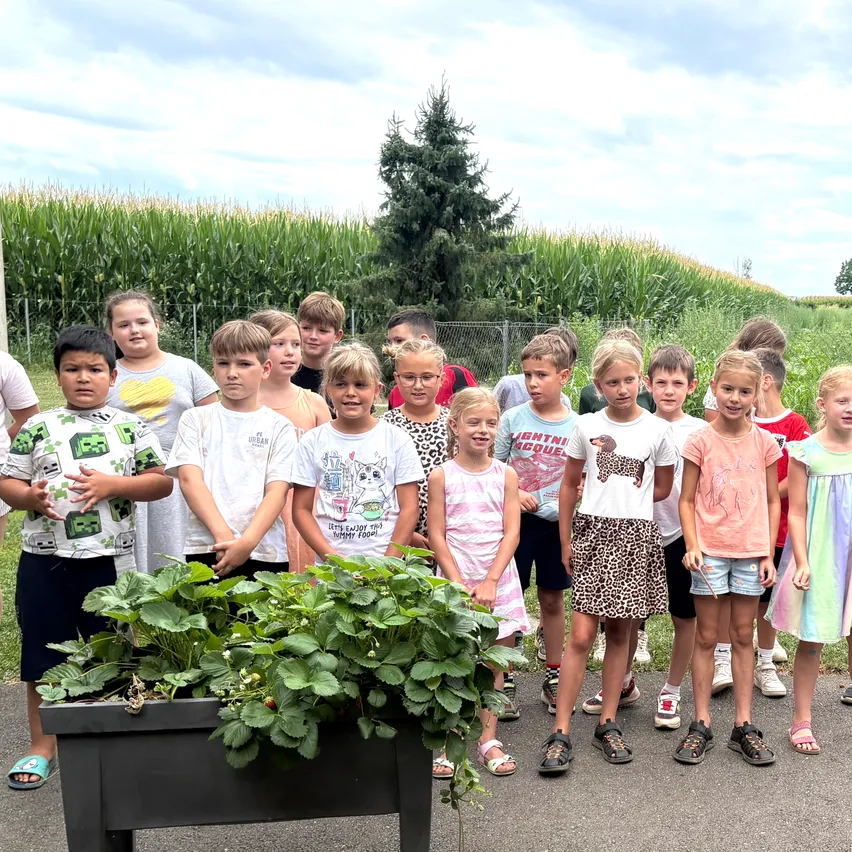 Eine Gruppe von Kindern steht vor einem mit Erdbeeren gefüllten Pflanzgefäß, mit einem Maisfeld und einem Baum im Hintergrund.