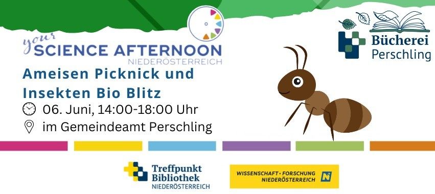 Bild enthält, Animal, Ant, Insect, Invertebrate