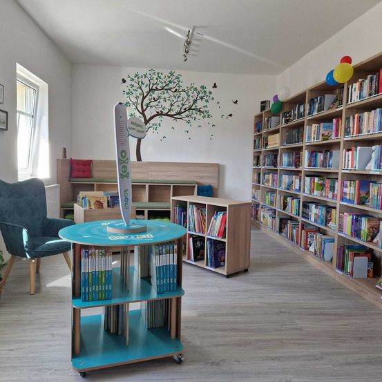 Bild enthält, Furniture, Bookcase, Plant, Chair