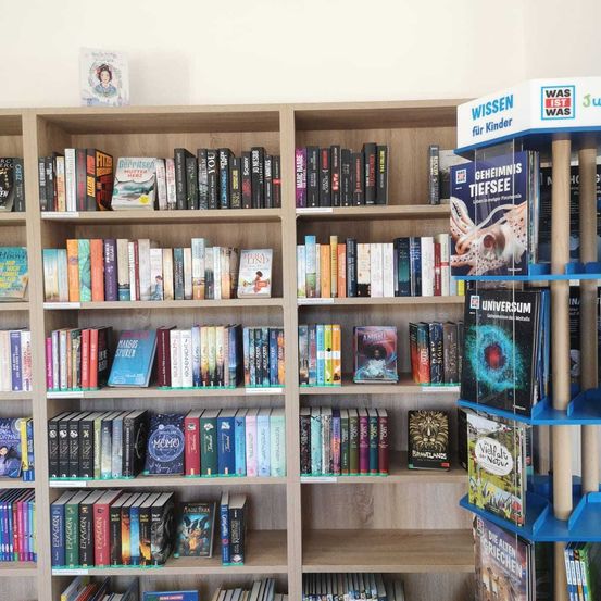 Bild enthält, Furniture, Bookcase, Book, Publication, Person