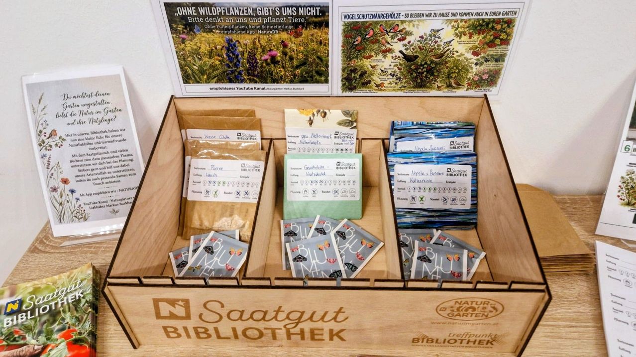 Eine hölzerne Box mit der Aufschrift Saatgut Bibliothek zeigt Packungen mit Samen und Samenkarten mit Illustrationen und Text in Deutsch. Hinter der Box befinden sich Poster mit ähnlichen Illustrationen und Text.