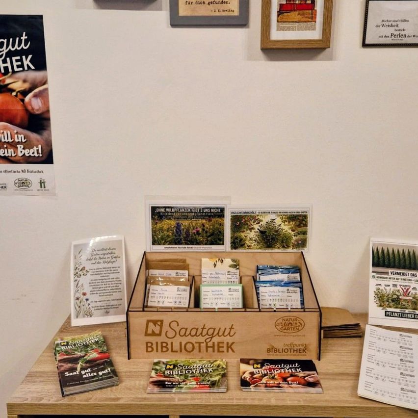 Auf einem Holztisch liegt eine Samenbox von Saatgut Bibliothek. Sie hat verschiedene Samenpakete. Ein Buch liegt neben der Box. Mehrere Poster hängen an der Wand.