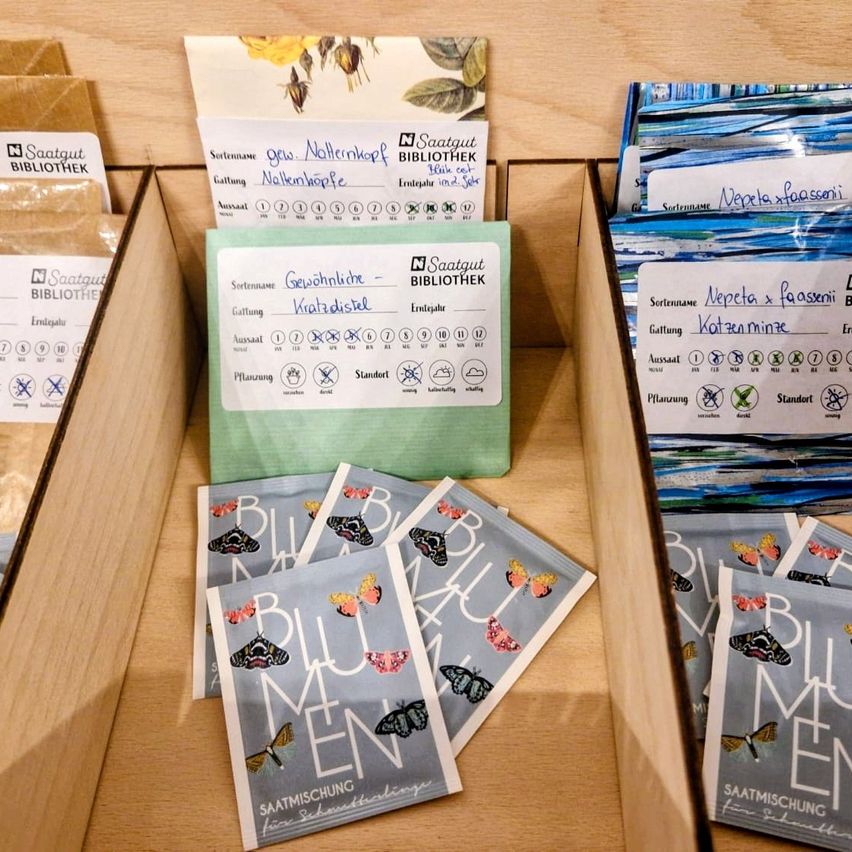 Ein Holzregal zeigt schmetterlingsthematische Artikel, einschließlich Karten und Beutel. Einige Karten haben deutschen Text und Schmetterlingszeichnungen. Die Beutel haben das Wort Blumen darauf. Die Karten haben einen grünen Rand.