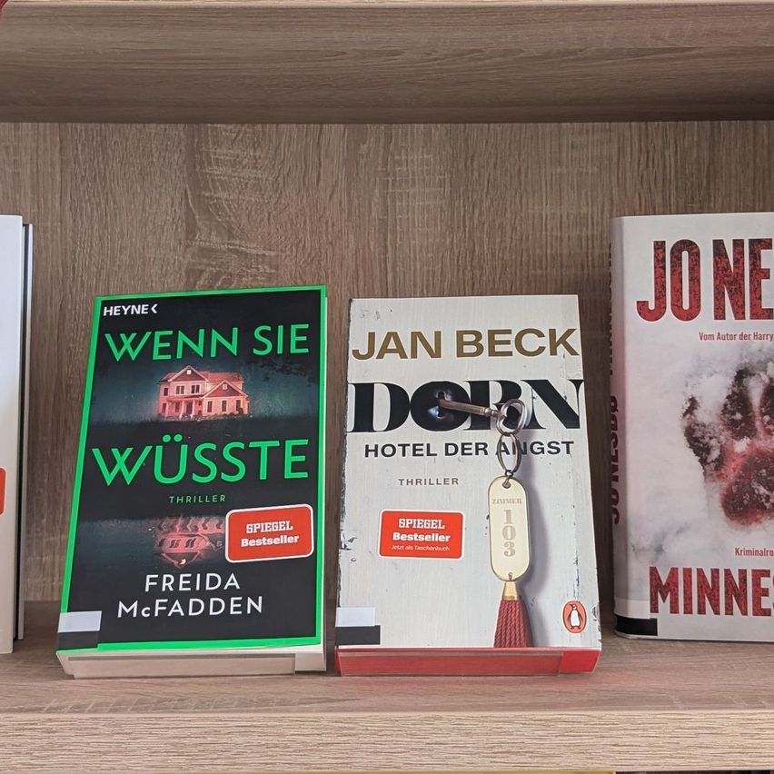 Drei Bücher auf einem Holzregal. Das linkste Buch heißt Wenn Sie Wueste von Freida McFadden. Das mittlere Buch heißt Hotel der Angst von Jan Beck. Das rechte Buch heißt Jo Ne von Jo Ne.