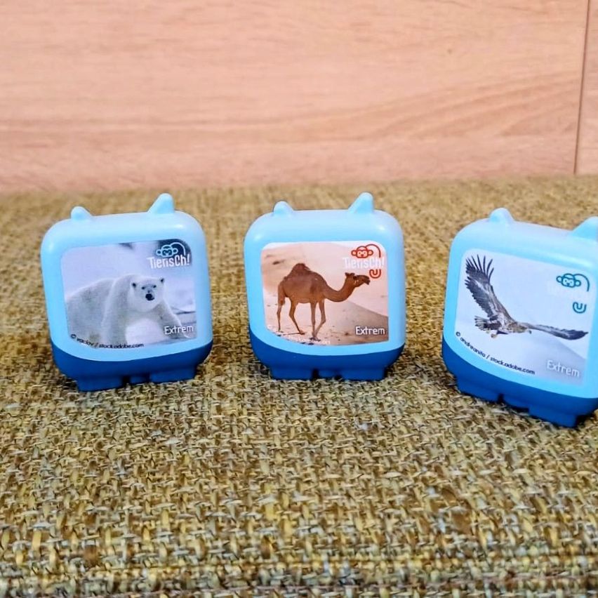 Drei blaue Plastikbehälter mit Tierbildern auf einem Teppichboden. Einer zeigt einen Eisbären, ein anderer einen Kamel und der letzte einen Adler.