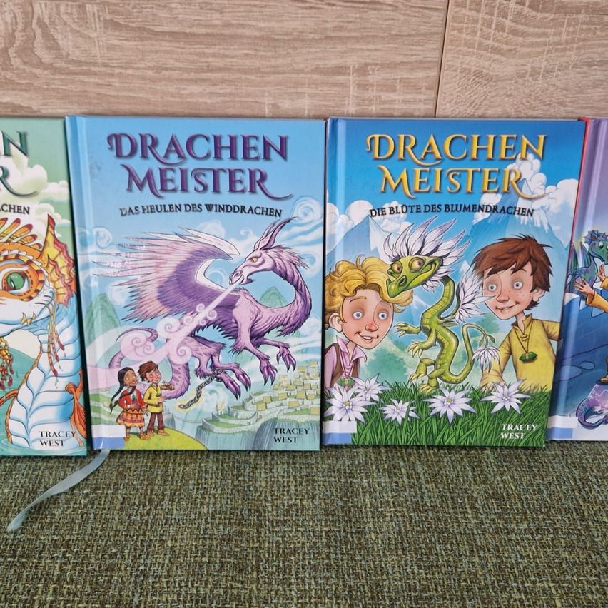 Five books titled 'Drachenfelster' are lined up on a wooden surface. Each book cover features a different dragon and a child. The books are arranged in a row.