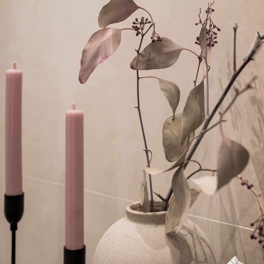 Zwei rosa Kerzen stehen neben einem Blumentopf mit einer Pflanze und werfen Schatten auf eine helle Wand.