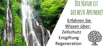 Ein Veranstaltungsposter mit einem Wasserfall und üppiger Vegetation. Es bewirbt einen Vortrag über kolloidale Mineralien aus der Natur, geplant für den 27. Februar 2026 um 19:00 Uhr. Themen sind Zellschutz, Entgiftung und Regeneration des menschlichen Körpers.