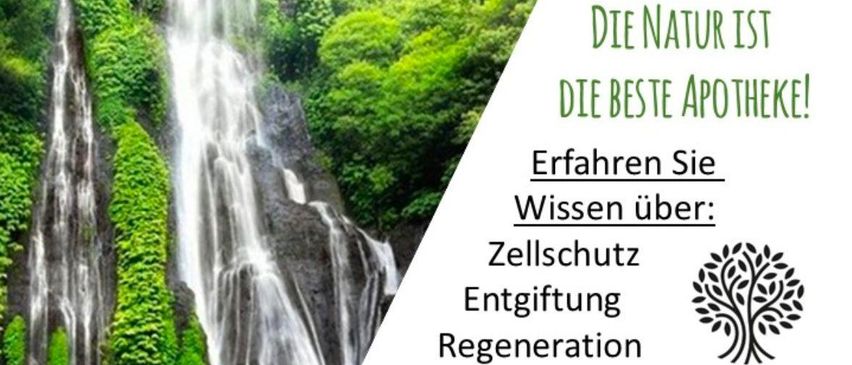 Ein Veranstaltungsposter mit einem Wasserfall und üppiger Vegetation. Es bewirbt einen Vortrag über kolloidale Mineralien aus der Natur, geplant für den 27. Februar 2026 um 19:00 Uhr. Themen sind Zellschutz, Entgiftung und Regeneration des menschlichen Körpers.