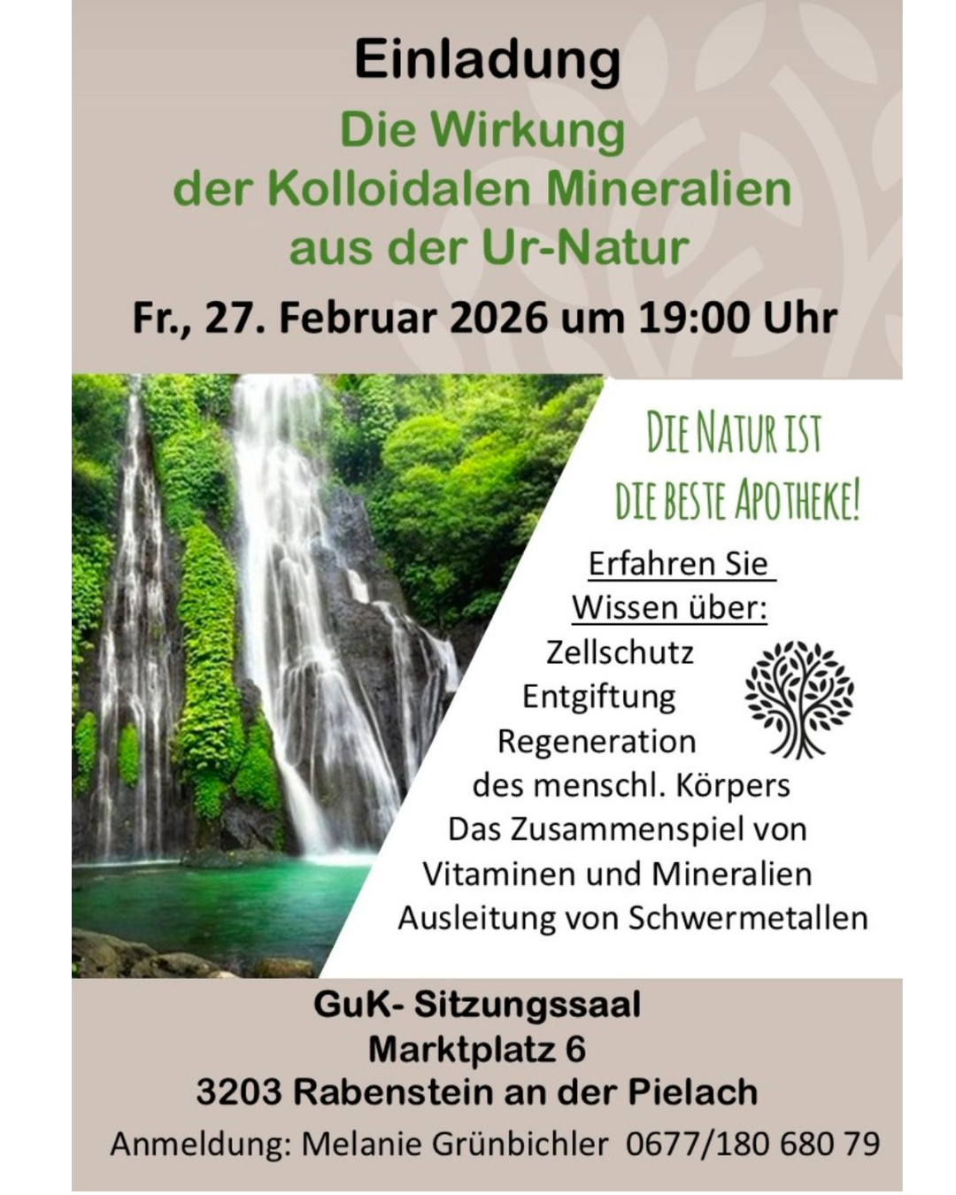 Plakat über die Wirkung von kolloidalen Mineralien aus der Natur. Mit Wasserfall, Naturbildern und Text auf Deutsch. Datum und Uhrzeit sind Freitag, 27. Februar 2026, um 19:00 Uhr.
