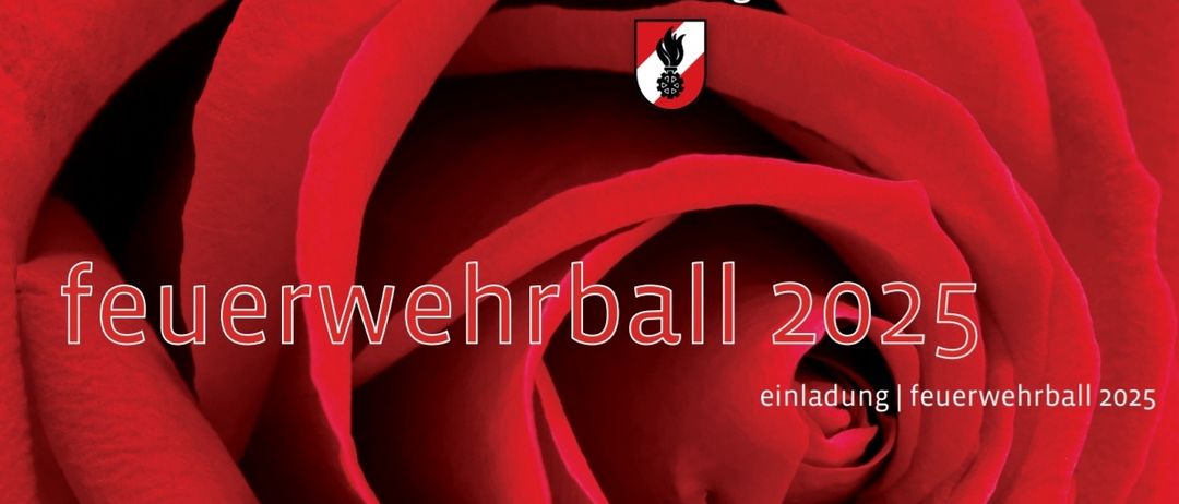 Bild enthält, Flower, Plant, Rose, Petal