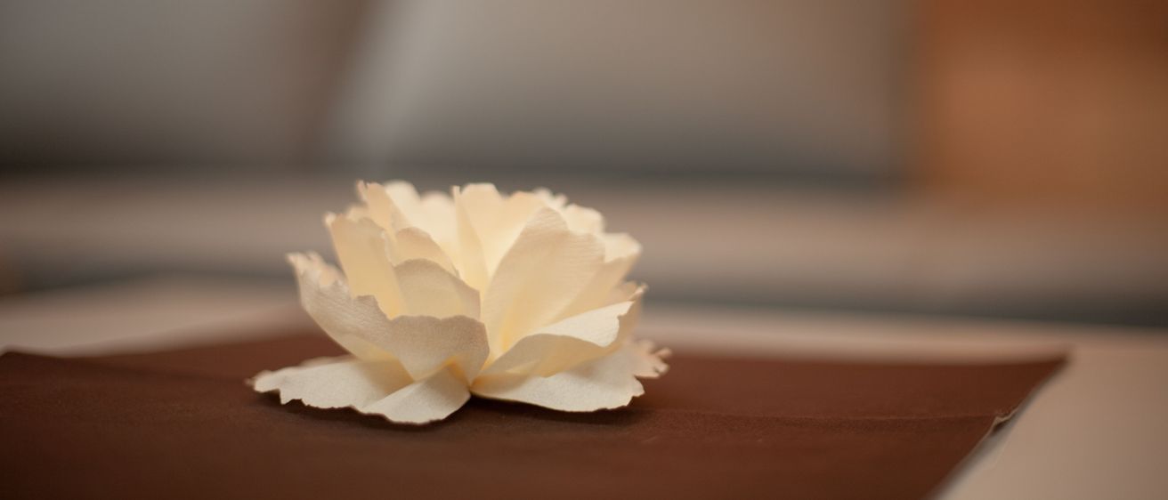 Bild enthält, Flower, Petal, Plant, Rose, Flower Arrangement, Flower Bouquet