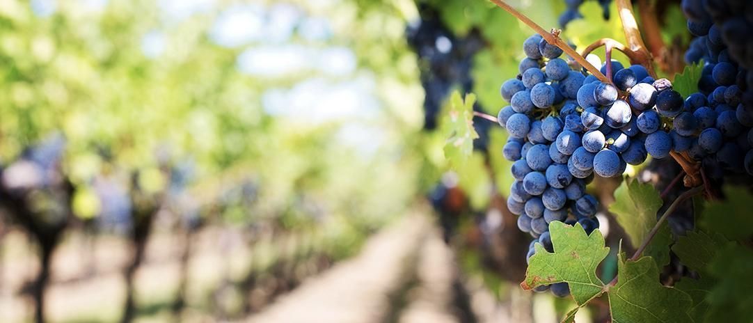 v1_migrated_image_85395585