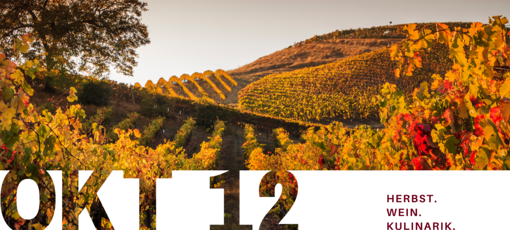 Nature, Outdoors, Countryside, Leaf, Plant, Rural, Scenery, Farm, Vineyard, Tree