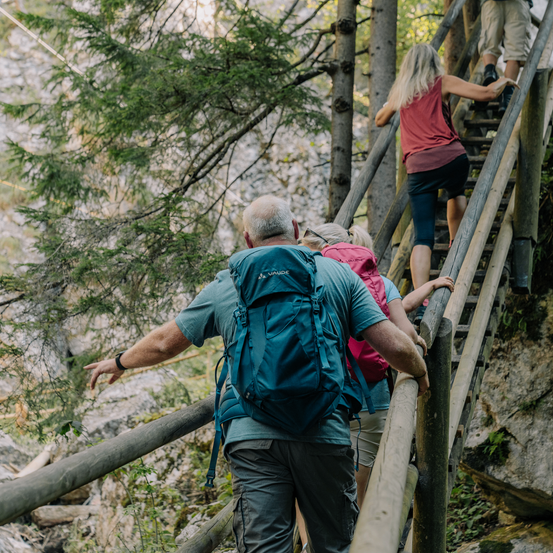 Eine Gruppe von Wanderern klettert eine Holztreppe in einem Wald. Der vordere Wanderer hat einen blauen Rucksack, und ein Wanderer hinter ihm hat einen rosa Rucksack.