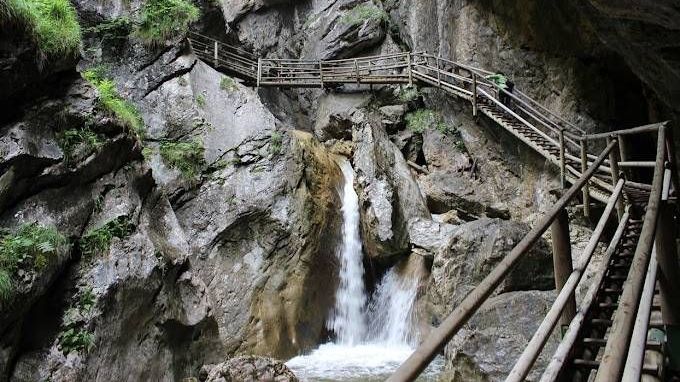 v1_migrated_image_82366444