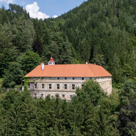 Ein altes Gebäude mit einem roten Dach, umgeben von hohen Bäumen und Grün, eingebettet in der Mitte eines Waldes.