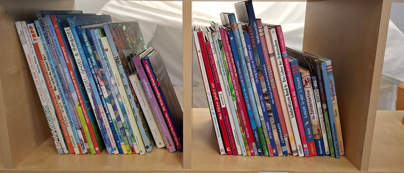 Ein hölzerne Bücherregal mit mehreren Büchern darauf. Die linke Seite hat eine bunte Auswahl an Büchern, wobei einige Titel sichtbar sind. Die rechte Seite hat eine ordentlich organisierte Sammlung von Büchern, hauptsächlich mit blauen und weißen Einbänden.