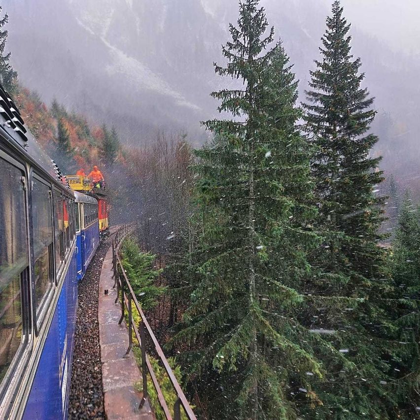 Bild enthält, Tree, Fir, Railway, Train, Outdoors, Scenery, Person, Vegetation, Rain, Conifer