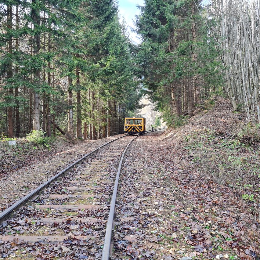 Bild enthält, Plant, Tree, Railway, Transportation, Train, Vehicle