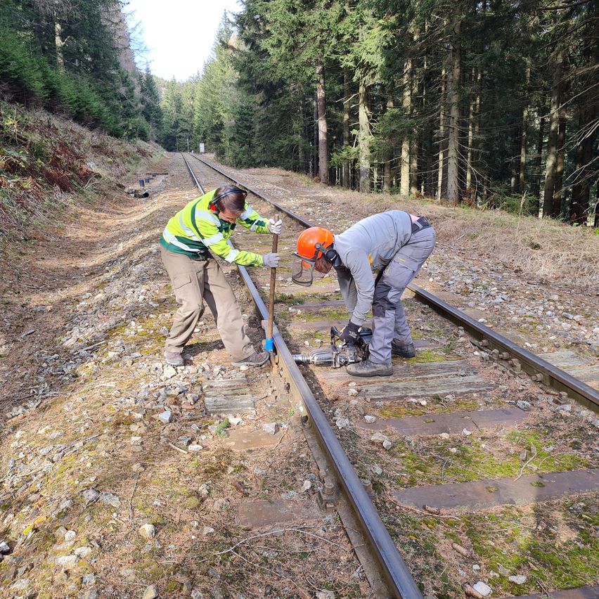 Bild enthält, Person, Worker, Adult, Male, Man, Railway, Hardhat, Gravel, Tree, Shoe