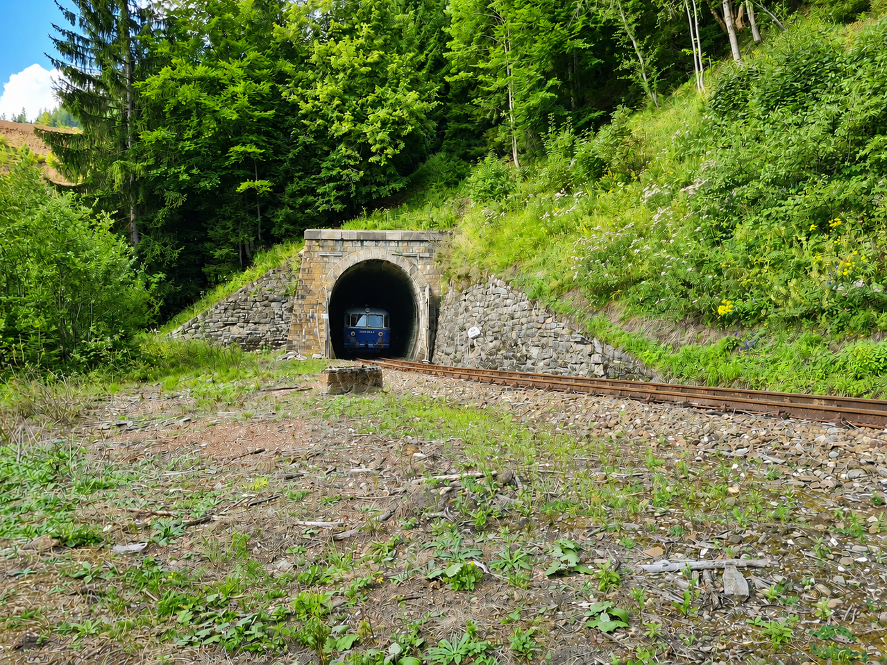 Ein blauer Zug kommt aus einem Steintunnel, umgeben von üppigem Grün und einem Hügel.