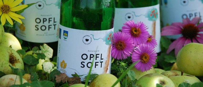 Bild enthält, Flower, Petal, Daisy, Herbal, Green, Bottle, Nature, Outdoors, Beverage, Alcohol