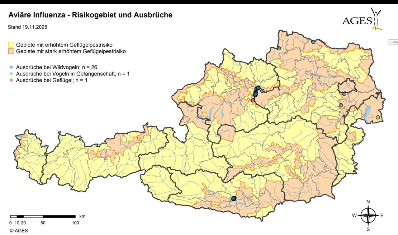Eine Karte mit zwei verschiedenen Regionen und unterschiedlichen Fallzahlen, eine Region hat 26 Fälle und die andere 1 Fall.
