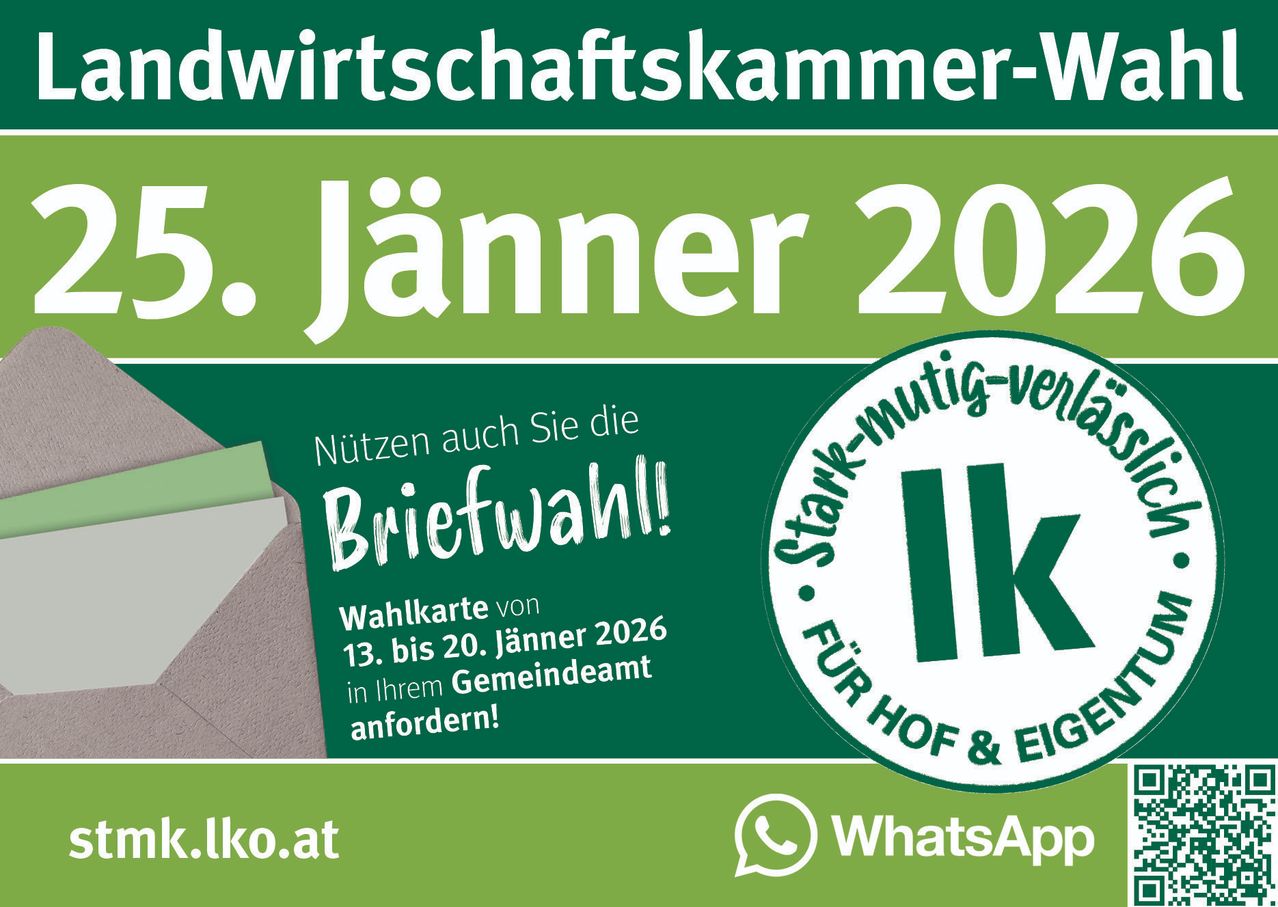 Plakat zur Wirtschaftskammer für Januar 2025. Es zeigt eine Wahlurne und ermutigt zur Nutzung von Postdiensten. Das Plakat enthält ein WhatsApp-Kontaktsymbol und eine Website.