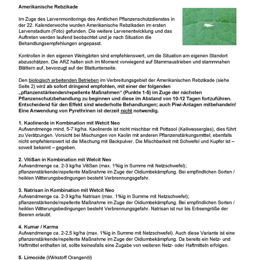 Im Zuge des Larvenmonitorings des Amtlichcn Pflanzenschutzdienstes in der 22. Kalenderwoche wurden Amerikanische Reblauskäde im ersten Larvenstadium (Foto) gefunden. Die weitere Larvenentwicklung und das Auftreten werden laufend beobachtet und je nach Situation die Behandlungsempfehlungen angepasst.